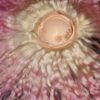 Scalp de Mohair Natural para Blythe - Imagen 2