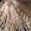 Scalp de Mohair Natural para Blythe - Imagen 3